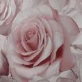 Muriva Madison Rose Glitter Raspberry 139521 Wallpaper